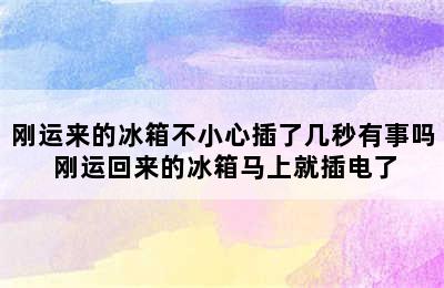 刚运来的冰箱不小心插了几秒有事吗 刚运回来的冰箱马上就插电了